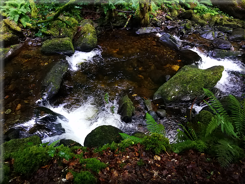 foto Parco di Killarney